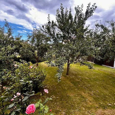 Brana Do Ceske Kanady Tatil Evi Český Rudolec
